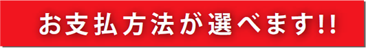 お支払方法が選べます! !