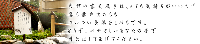 当館の露天風呂は、とても気持ちがいいので落ち葉や虫たちもついつい長湯をしがちです。どうぞ、心やさしいあなたの手で外に出してあげてください。